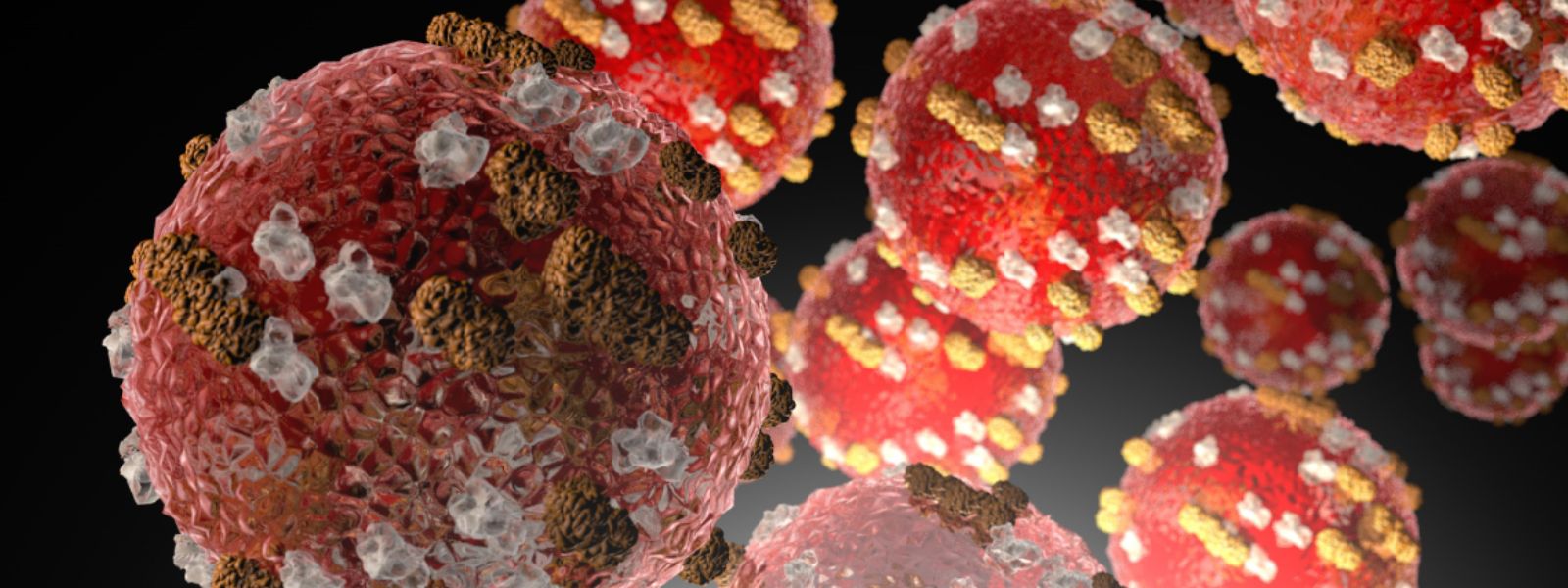 Health Min. Urges Doctors to Report Measles Cases